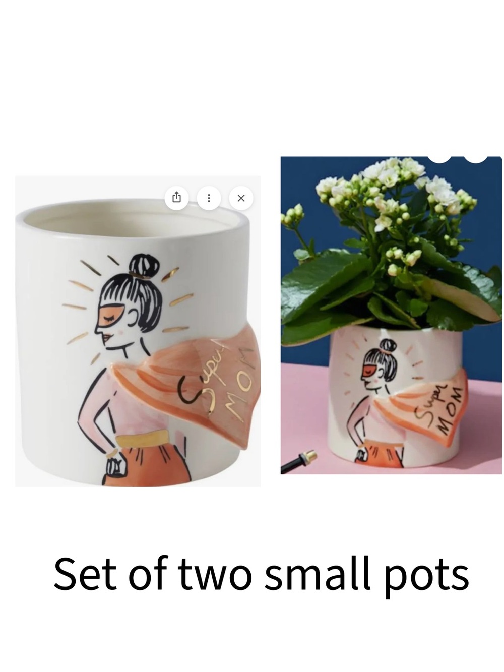 Set of two pots- plant not included.